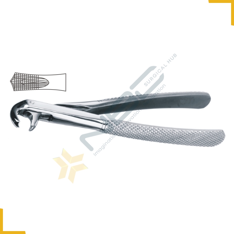 Hawks Bill English Pattern Tooth Extracting Forcep Fig 73S