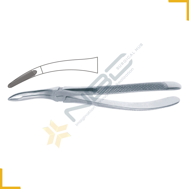 English Pattern Tooth Extracting Forcep Fig 44N