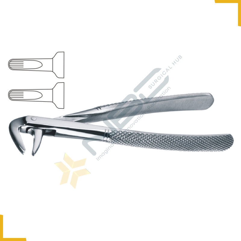 Guys English Pattern Tooth Extracting Forcep Fig 137