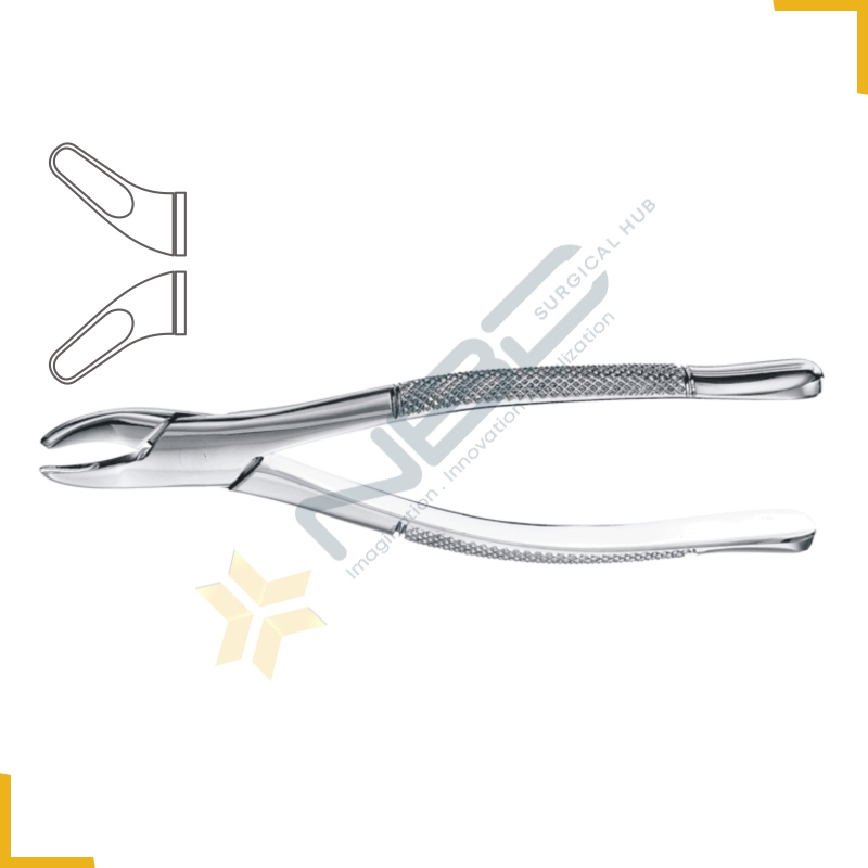 American Pattern Tooth Extracting Forcep Fig 62