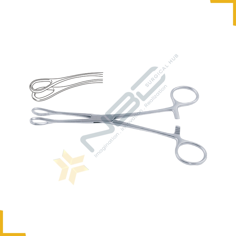 Foerster Sponge Holding Forcep Curved - Smoth Jaw