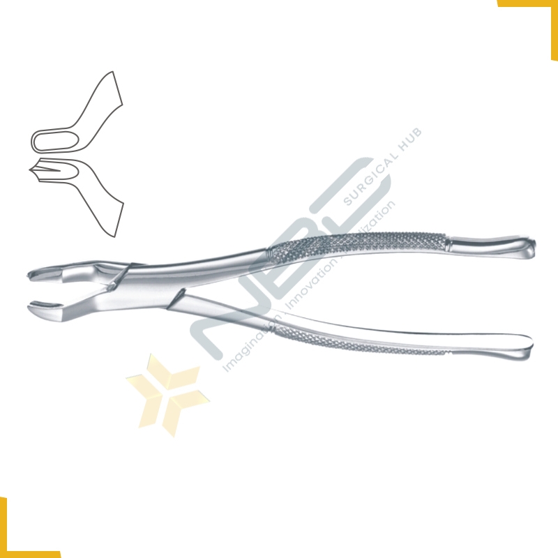 American Pattern Tooth Extracting Forcep Fig 53R