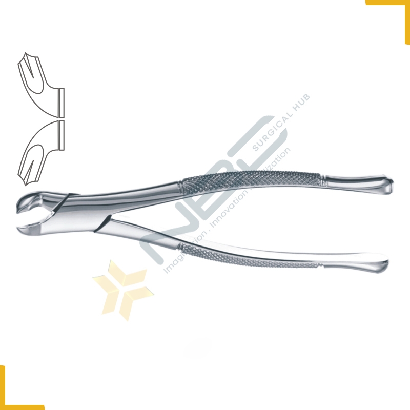 American Pattern Tooth Extracting Forcep Fig 17