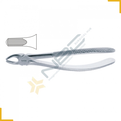 English Pattern Tooth Extracting Forcep Child Fig 39