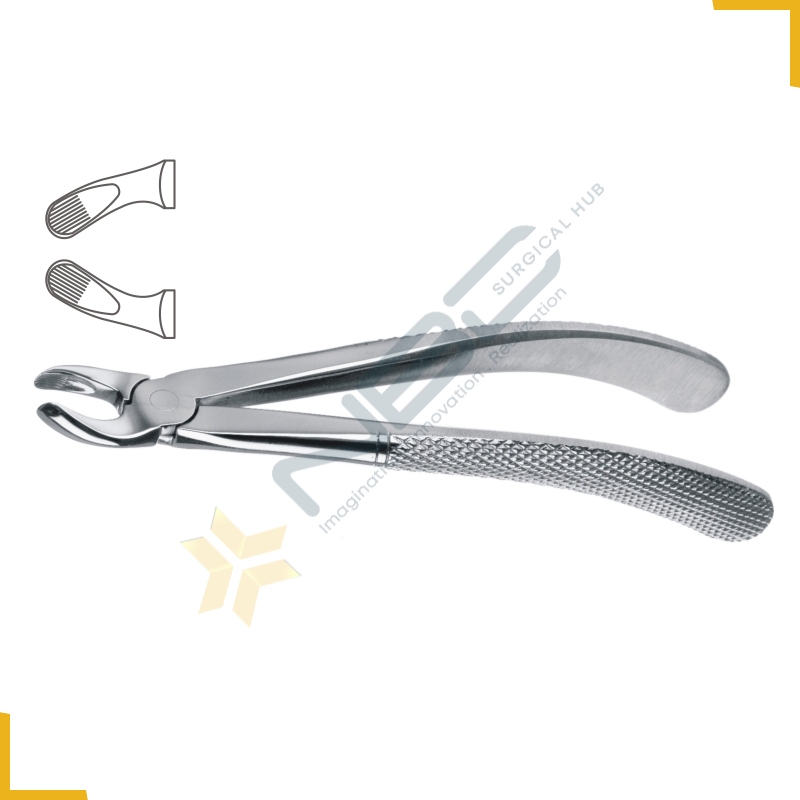 English Pattern Tooth Extracting Forcep Child Fig 157