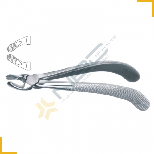 English Pattern Tooth Extracting Forcep Fig 95