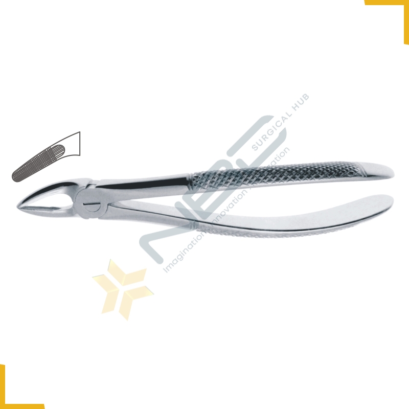 English Pattern Tooth Extracting Forcep Fig 30