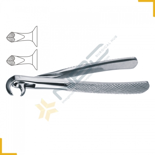 Hawks Bill English Pattern Tooth Extracting Forcep Child Fig 161