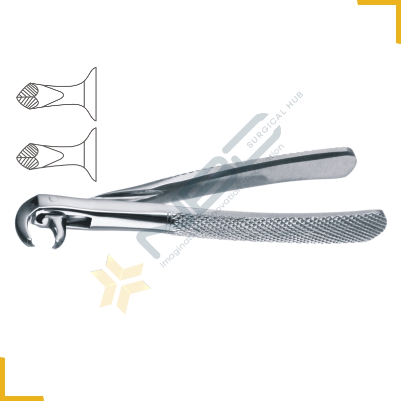 Hawks Bill English Pattern Tooth Extracting Forcep Child Fig 161