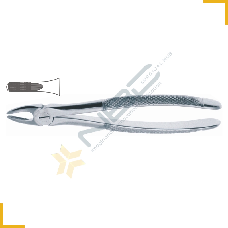 English Pattern Tooth Extracting Forcep Fig 2