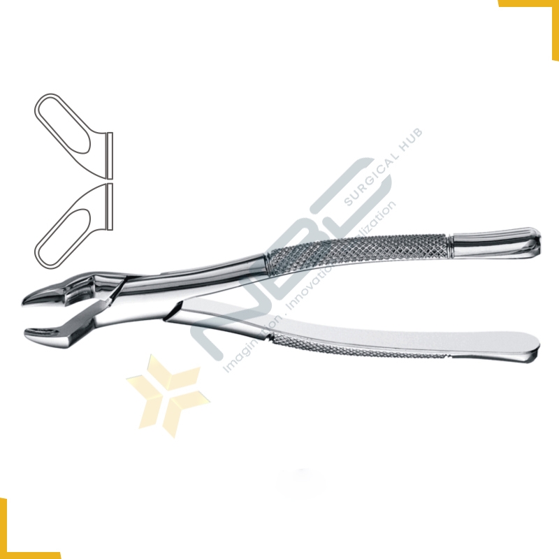 American Pattern Tooth Extracting Forcep Fig 10S