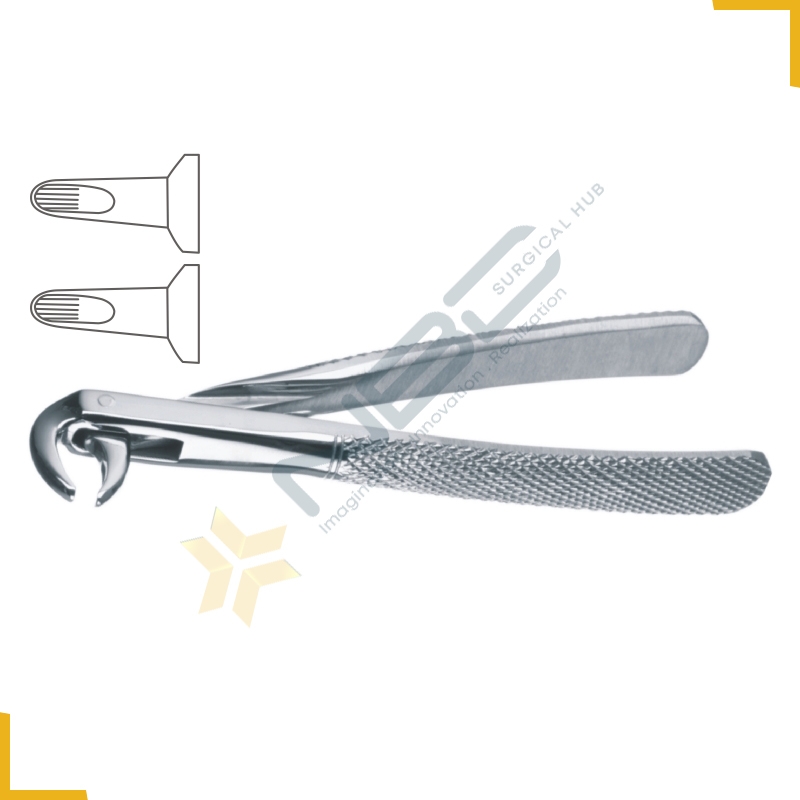 English Pattern Tooth Extracting Forcep Child Fig 123