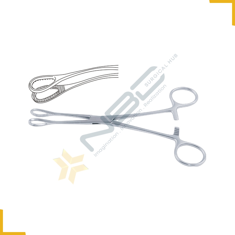 Foerster Sponge Holding Forcep Curved