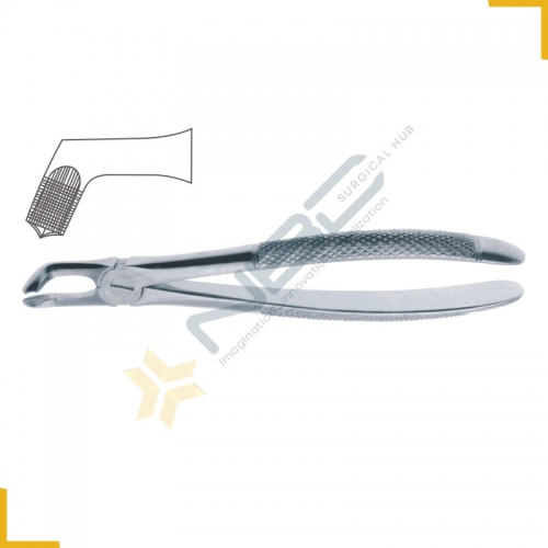 English Pattern Tooth Extracting Forcep Fig 79