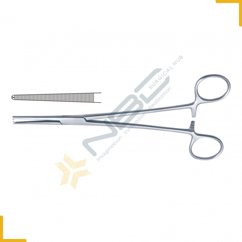 Heiss Haemostatic Forcep Straight - 1 x 2 Teeth