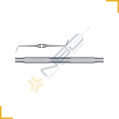 Hollenback Carver Fig 2