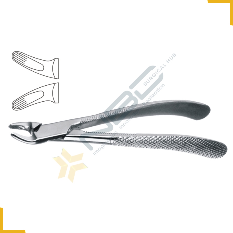 English Pattern Tooth Extracting Forcep Child Fig 159