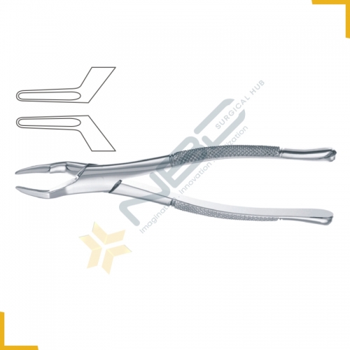 American Pattern Tooth Extracting Forcep Fig 65