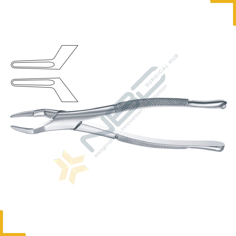 American Pattern Tooth Extracting Forcep Fig 65