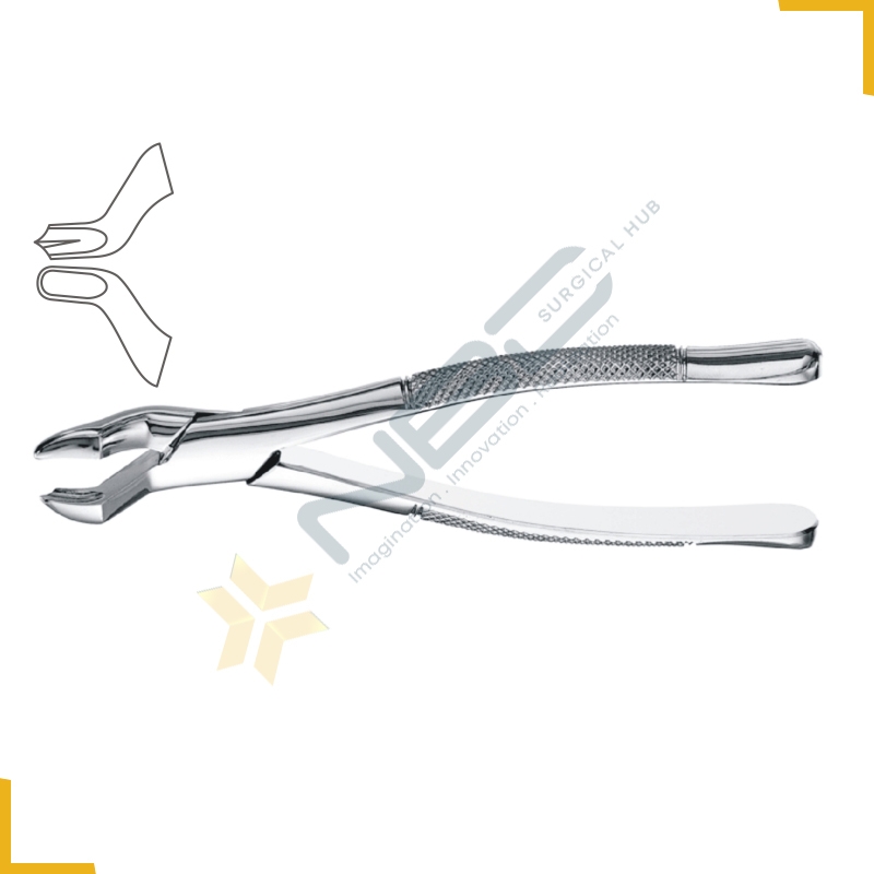 American Pattern Tooth Extracting Forcep Fig 53L