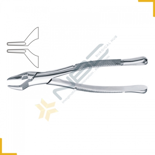 American Pattern Tooth Extracting Forcep Fig 286