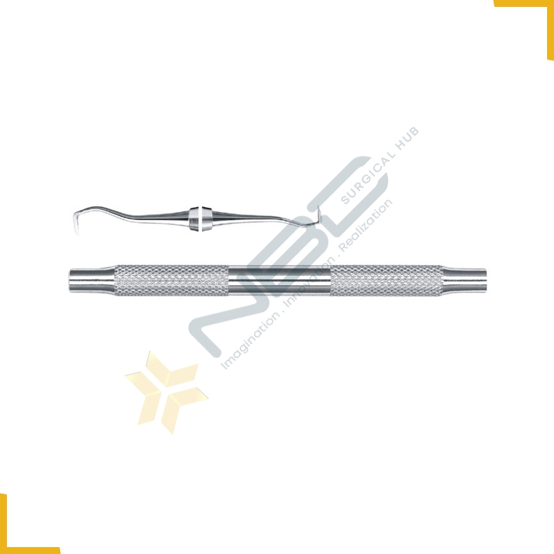 Jacquette Sickle Scaler Fig 30 33