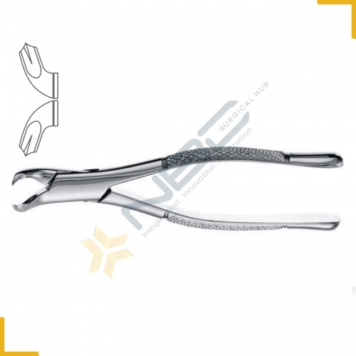 Woodward American Pattern Tooth Extracting Forcep Fig 3FS