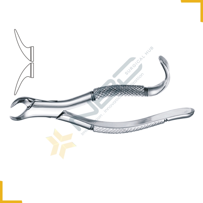 American Pattern Tooth Extracting Forcep Child Fig 16S