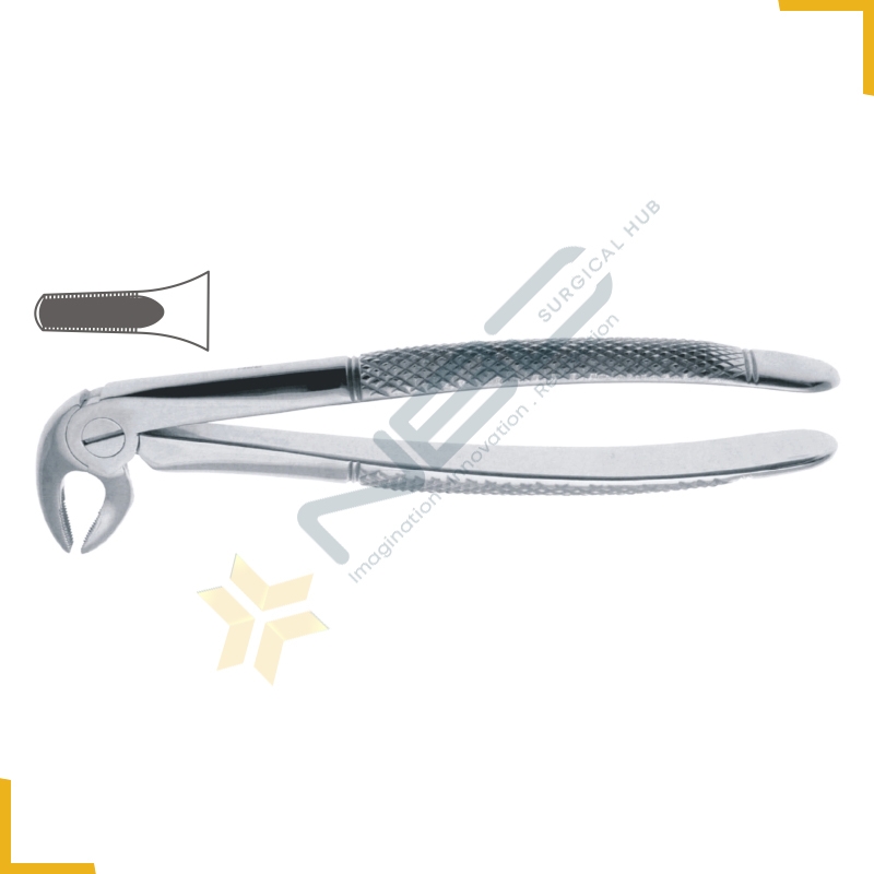 English Pattern Tooth Extracting Forcep Fig 13