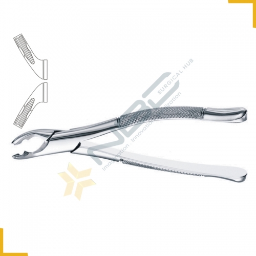 American Pattern Tooth Extracting Forcep Fig 151AS