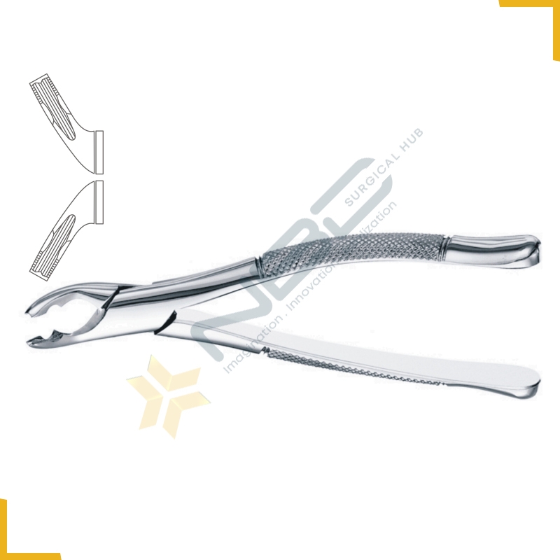 American Pattern Tooth Extracting Forcep Fig 151AS