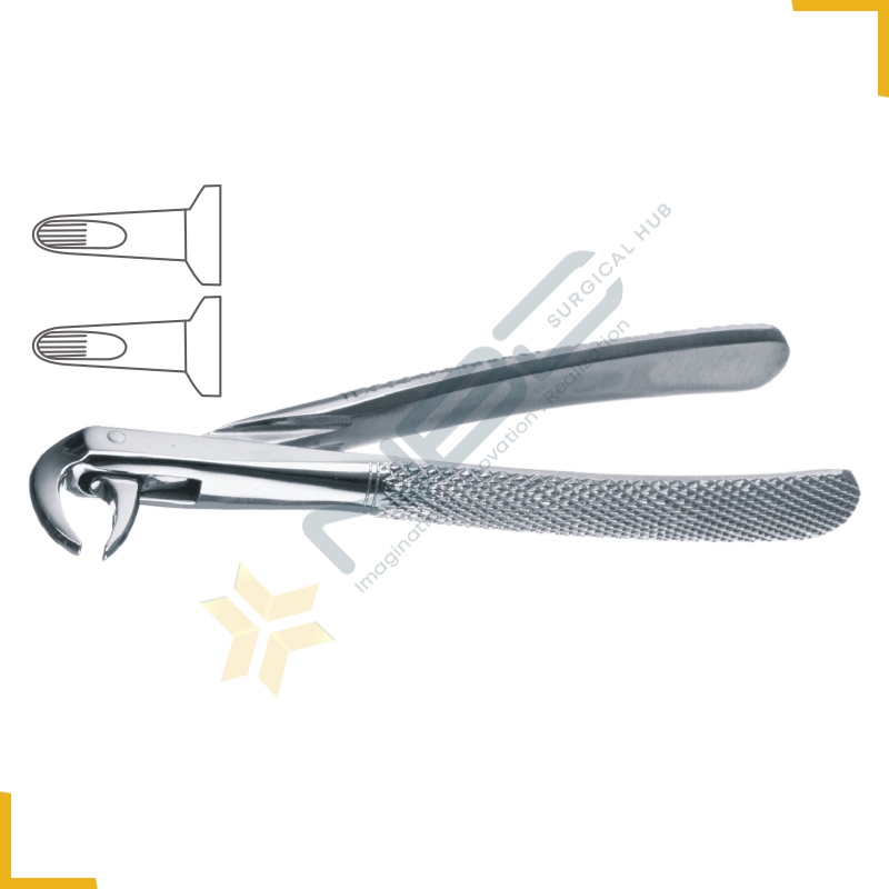 English Pattern Tooth Extracting Forcep Child Fig 162