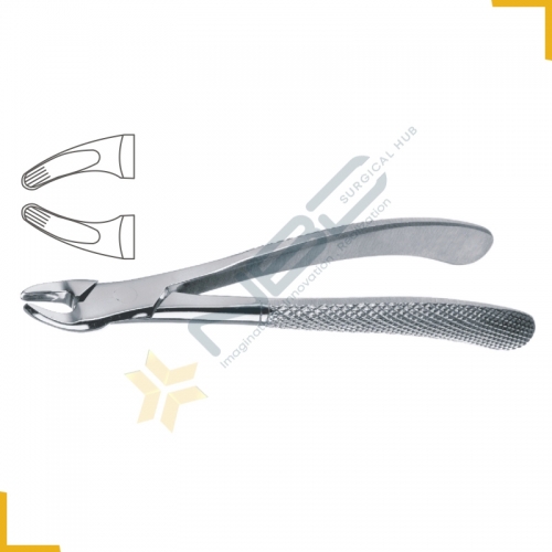 English Pattern Tooth Extracting Forcep Child Fig 138