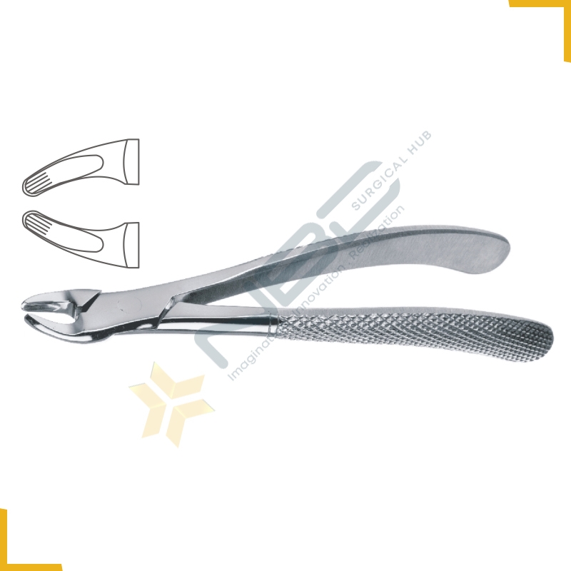 English Pattern Tooth Extracting Forcep Child Fig 138