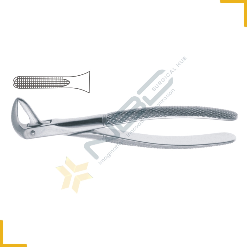 English Pattern Tooth Extracting Forcep Fig 74N