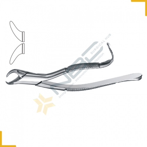 American Pattern Tooth Extracting Forcep Fig 16