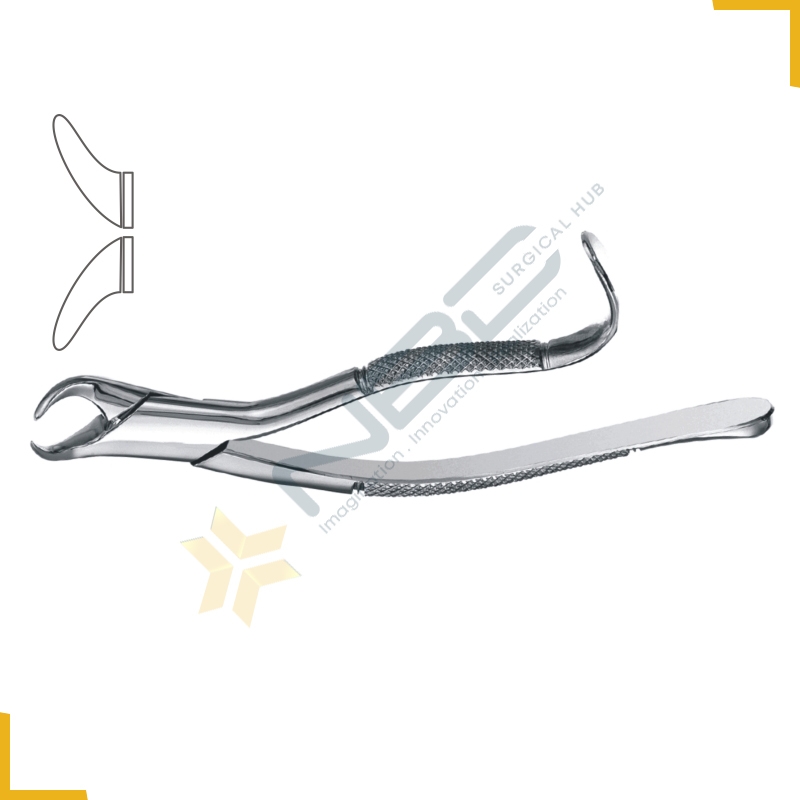 American Pattern Tooth Extracting Forcep Fig 16