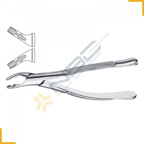 American Pattern Tooth Extracting Forcep Fig 150AS