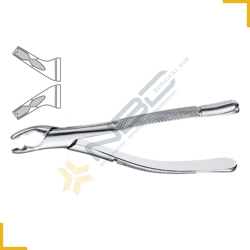 American Pattern Tooth Extracting Forcep Fig 150AS