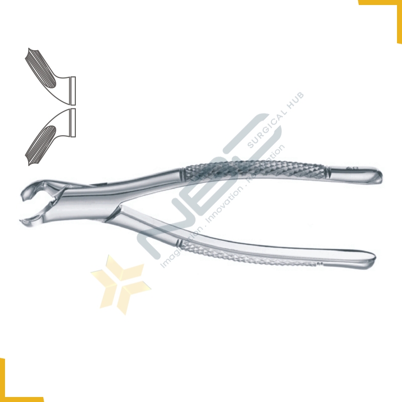 American Pattern Tooth Extracting Forcep Child Fig 40