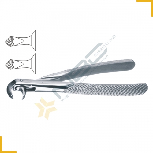 Hawks Bill English Pattern Tooth Extracting Forcep Child Fig 160