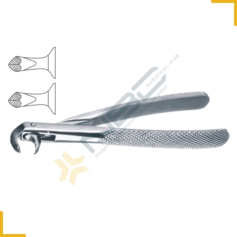 Hawks Bill English Pattern Tooth Extracting Forcep Child Fig 160