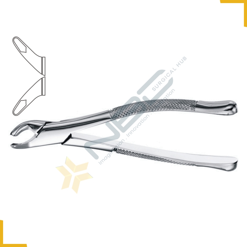 Cryer American Pattern Tooth Extracting Forcep Fig 151A