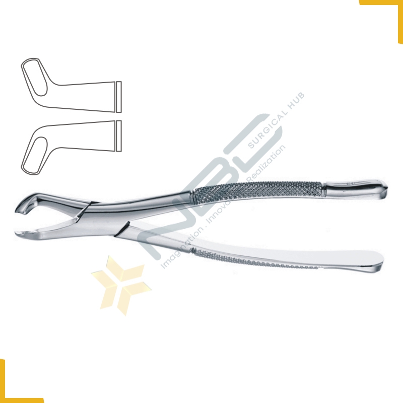 American Pattern Tooth Extracting Forcep Fig 222