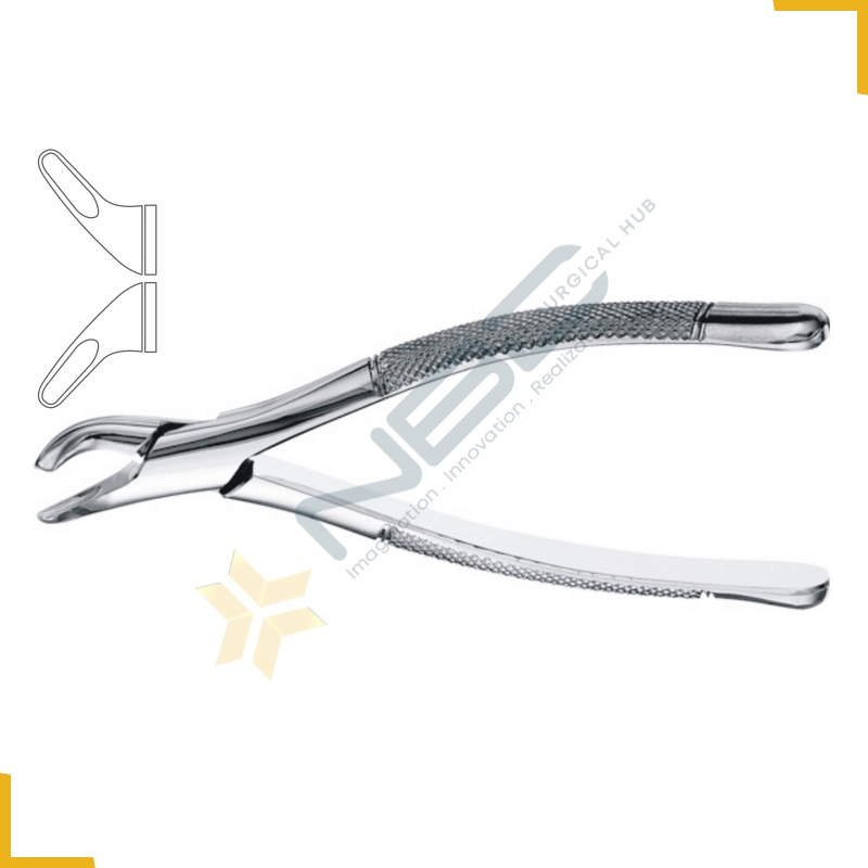 American Pattern Tooth Extracting Forcep Child Fig 151S