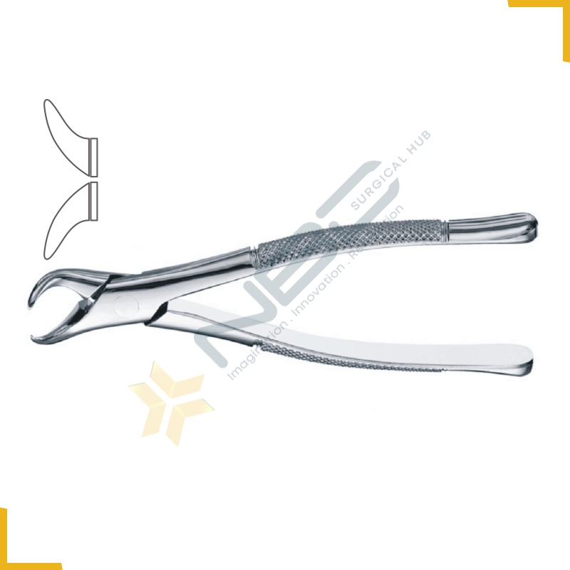 Cowhorn American Pattern Tooth Extracting Forcep Fig 23