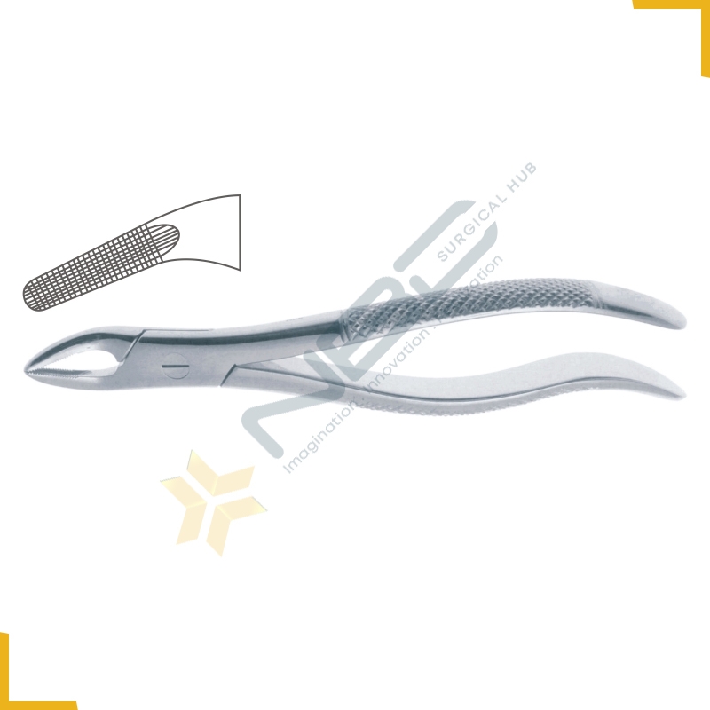 English Pattern Tooth Extracting Forcep Fig 76N