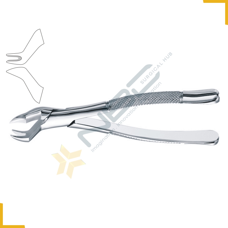 Nevius American Pattern Tooth Extracting Forcep Fig 88R