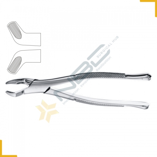 American Pattern Tooth Extracting Forcep Fig 210S