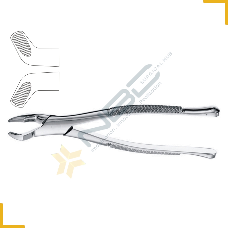 American Pattern Tooth Extracting Forcep Fig 210S